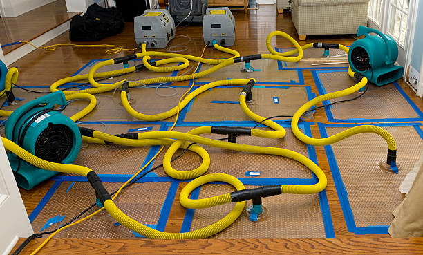 Professional Crawl Space Water Removal technician working in Rhineland, MO